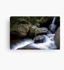 Rush Canvas Print