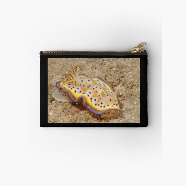 Item preview, Chromodoris kuniei, Papua New Guinea designed and sold by Erik Schlogl.