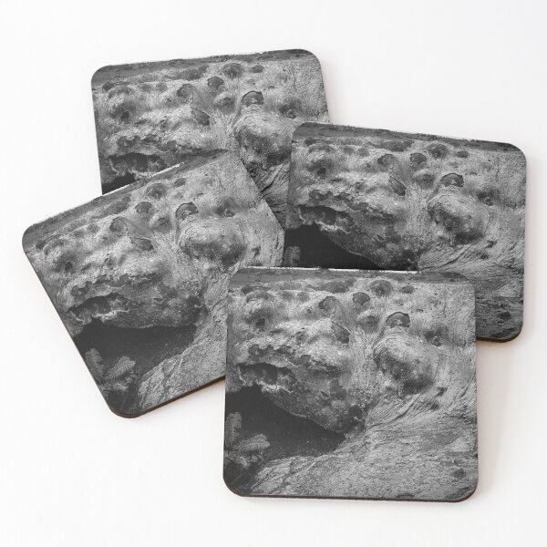 Item preview, underground regrowth designed and sold by Perggals© - Stacey Turner.