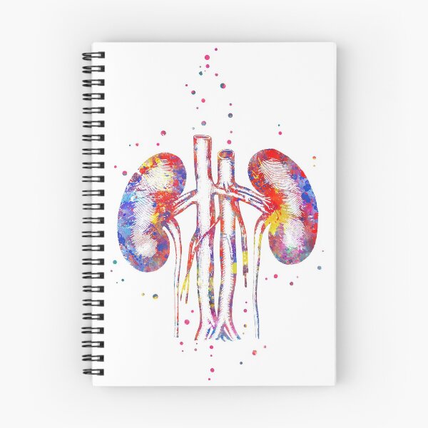 Item preview, Kidney designed and sold by Rosaliartbook.