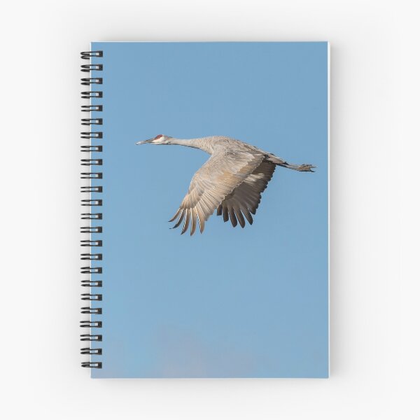 Item preview, Sandhill Crane 2015-2 designed and sold by Thomasyoung.