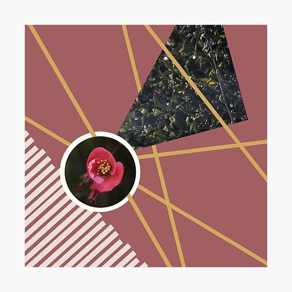Dusty pink, floral art Photographic Print