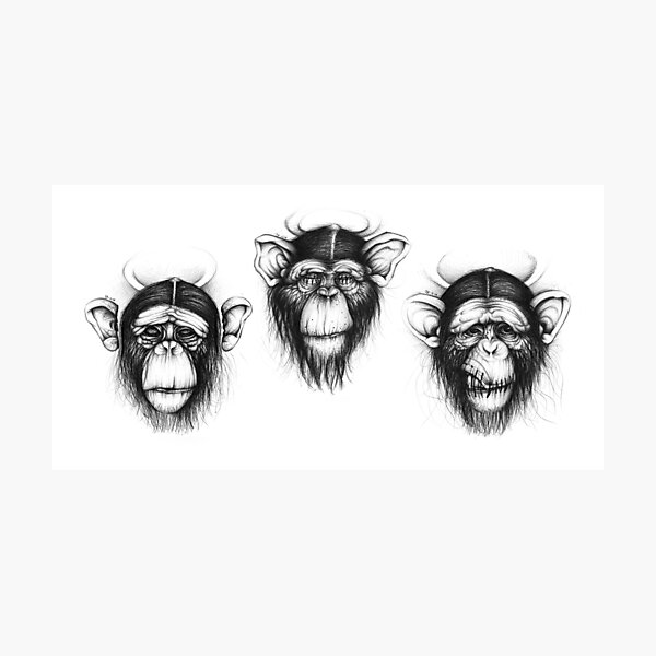 Three Monkeys (Saints drawing series) Photographic Print