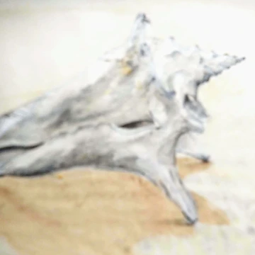 Artwork thumbnail, Large shell by TreacleDesigns