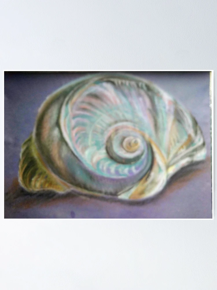 Thumbnail 1 of 3, Poster, Coloured shell designed and sold by TreacleDesigns.