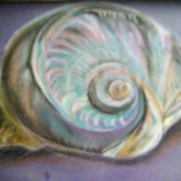 Artwork thumbnail, Coloured shell by TreacleDesigns