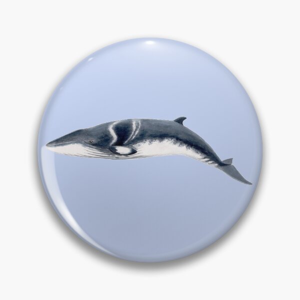 Item preview, Baby Minke whale  designed and sold by chloeyzoard.