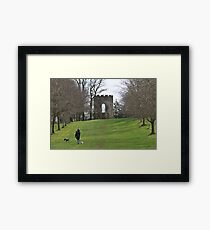 A walk in Spring Hill Framed Print