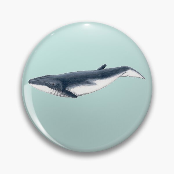 Item preview, Bryde´s whale baby designed and sold by chloeyzoard.