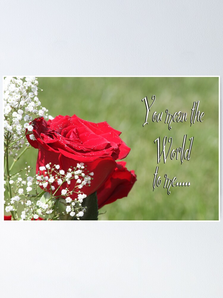 You Mean The World To Me Poster Von Zeezeeshots Redbubble