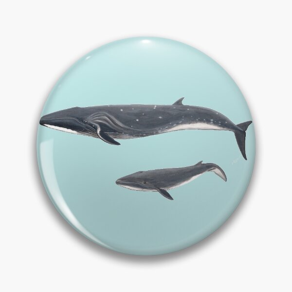 Item preview, Sei whale designed and sold by chloeyzoard.