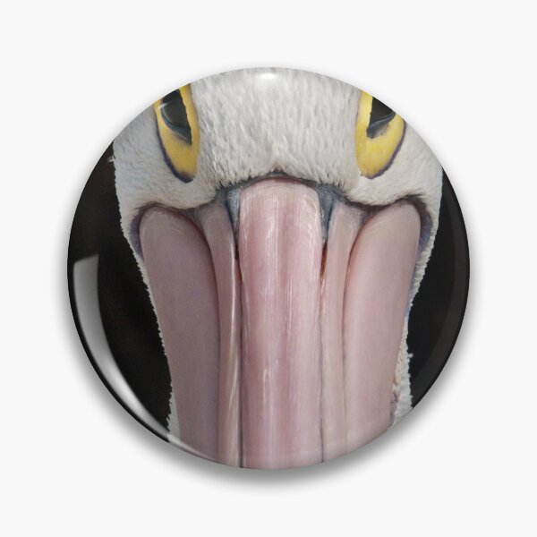 Item preview, The Pelican Stare designed and sold by Werner Padarin.