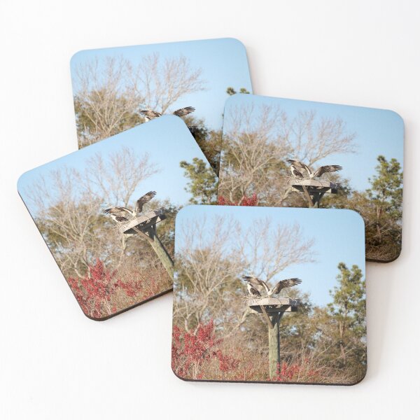 Item preview, Protecting The Nest designed and sold by Cynthia48.
