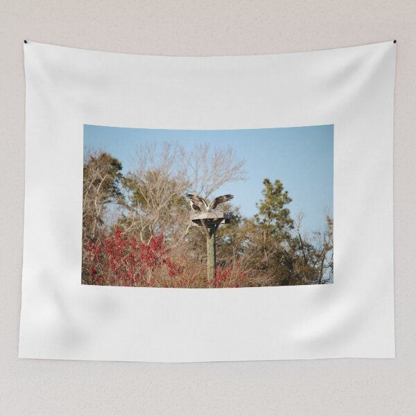 Item preview, Protecting The Nest designed and sold by Cynthia48.