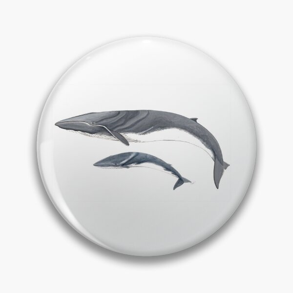 Item preview, Fin whale with calf designed and sold by chloeyzoard.