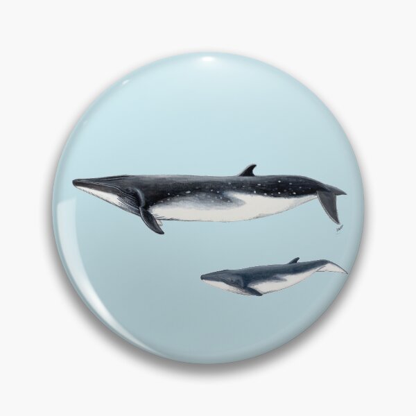 Item preview, Bryde´s Whale with calf designed and sold by chloeyzoard.