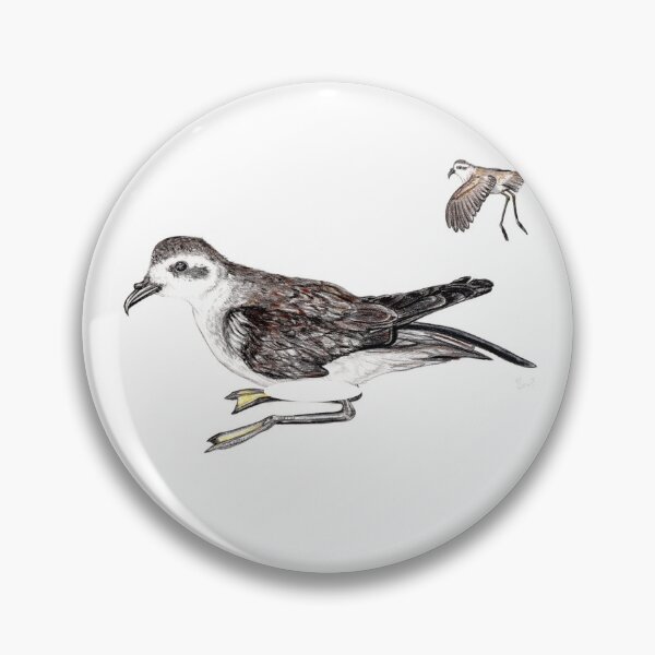 Item preview, White-faced Storm-petrel  designed and sold by chloeyzoard.