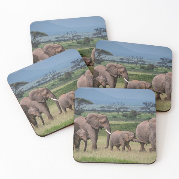 Item preview, Amboseli National Park designed and sold by Brendan Buckley.