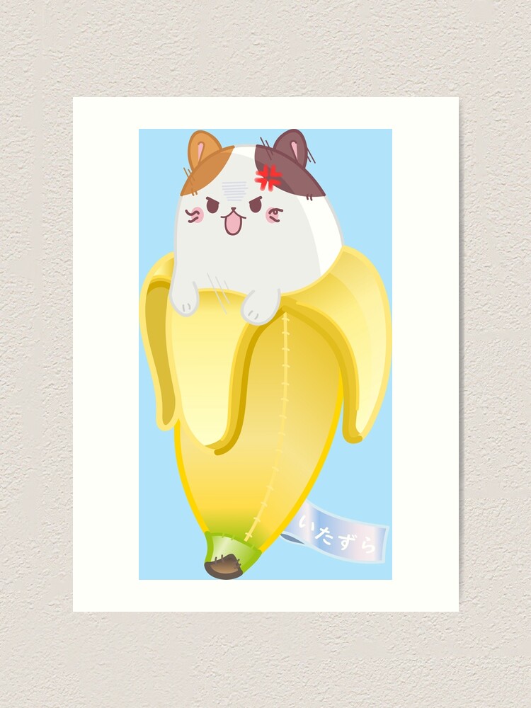 calico bananya