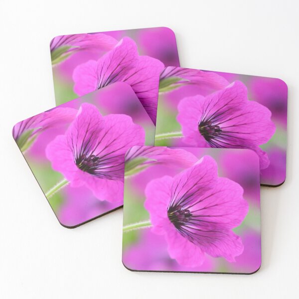 Item preview, Geranium psilostemon  AGM  Armenian cranesbill  designed and sold by Chris Burrows.