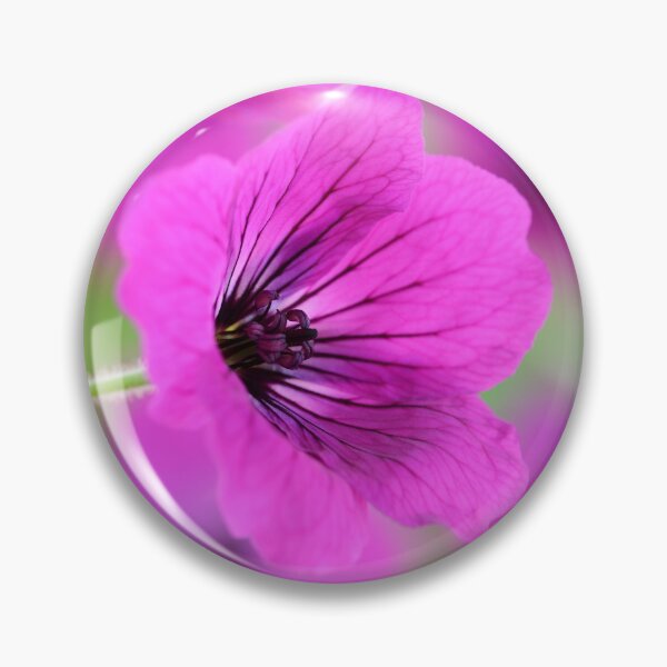 Item preview, Geranium psilostemon  AGM  Armenian cranesbill  designed and sold by Chris Burrows.