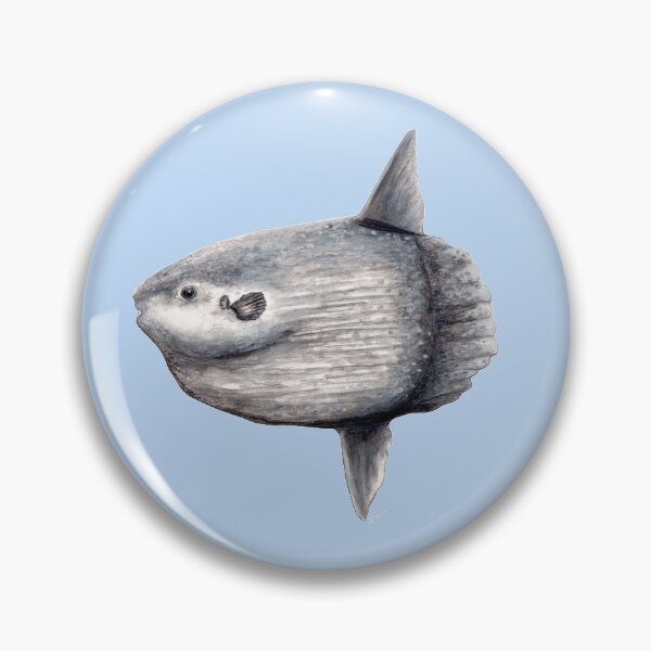 Item preview, Ocean sunfish (Mola mola) designed and sold by chloeyzoard.