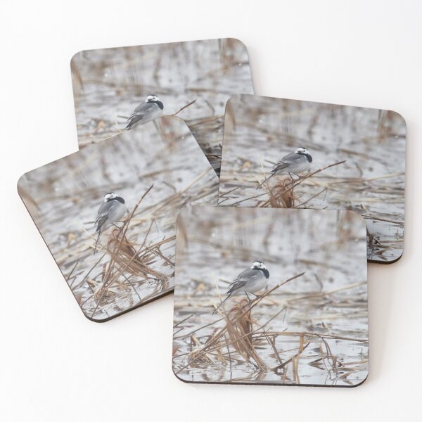Item preview, White wagtail over the waters designed and sold by Jouko Lehto Photography.