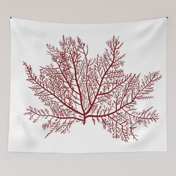 Item preview, Gelidium or Chaetangium - a genus of thalloid red algae designed and sold by Familyshmot.