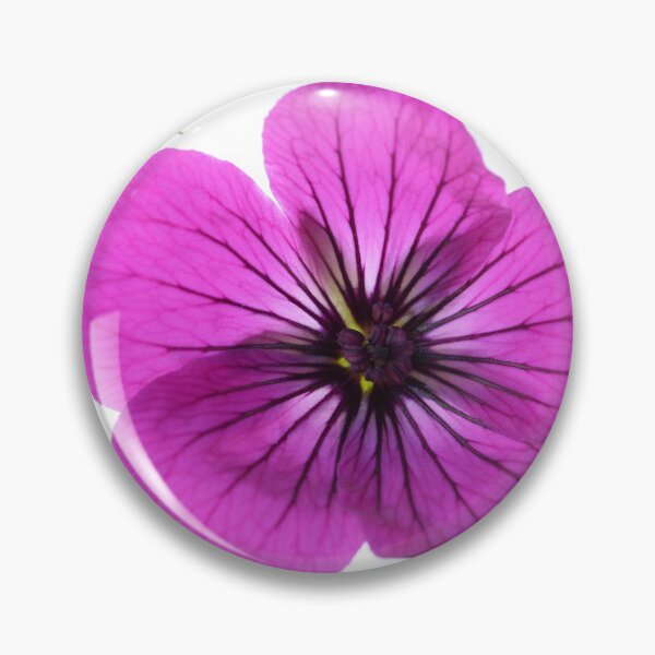Item preview, Geranium psilostemon  AGM  Armenian cranesbill  designed and sold by Chris Burrows.