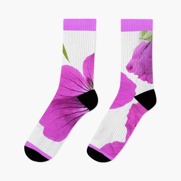 Item preview, Geranium psilostemon  AGM  Armenian cranesbill  designed and sold by Chris Burrows.