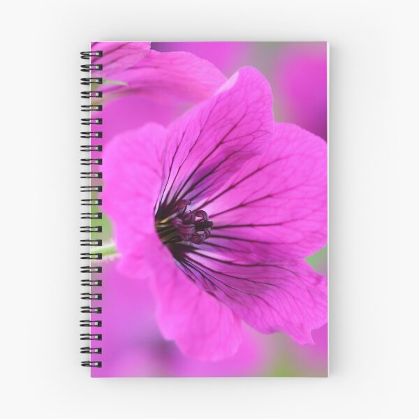 Item preview, Geranium psilostemon  AGM  Armenian cranesbill  designed and sold by Chris Burrows.