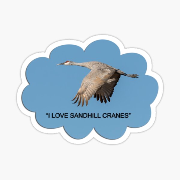 Item preview, I LOVE SANDHILL CRANES designed and sold by Thomasyoung.