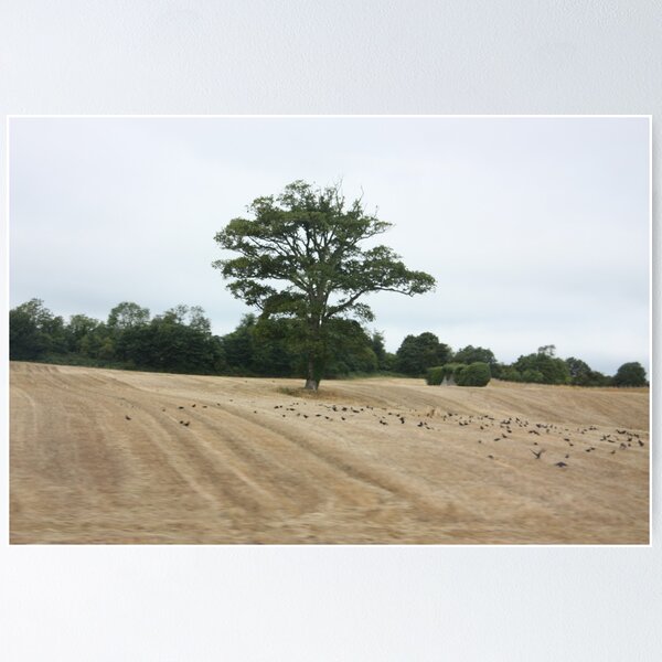 Artikelvorschau, tree in the meadow entworfen und verkauft von cmark.
