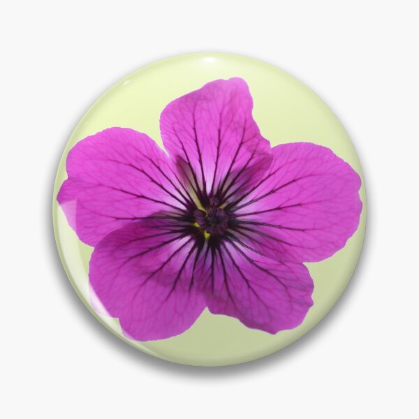 Item preview, Geranium psilostemon  AGM  Armenian cranesbill  designed and sold by Chris Burrows.