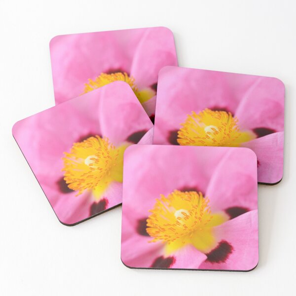 Item preview, Cistus × purpureus   AGM  Purple-flowered rock rose   designed and sold by Chris Burrows.