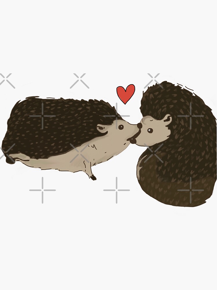 "Hedgehogs in love" Sticker by Dabbey Redbubble