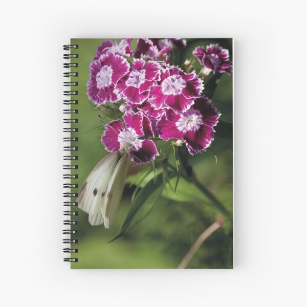 Le Butineur Spiral Notebook