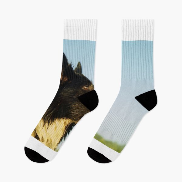 Item preview, A King among Dogs. designed and sold by Michael Haslam.
