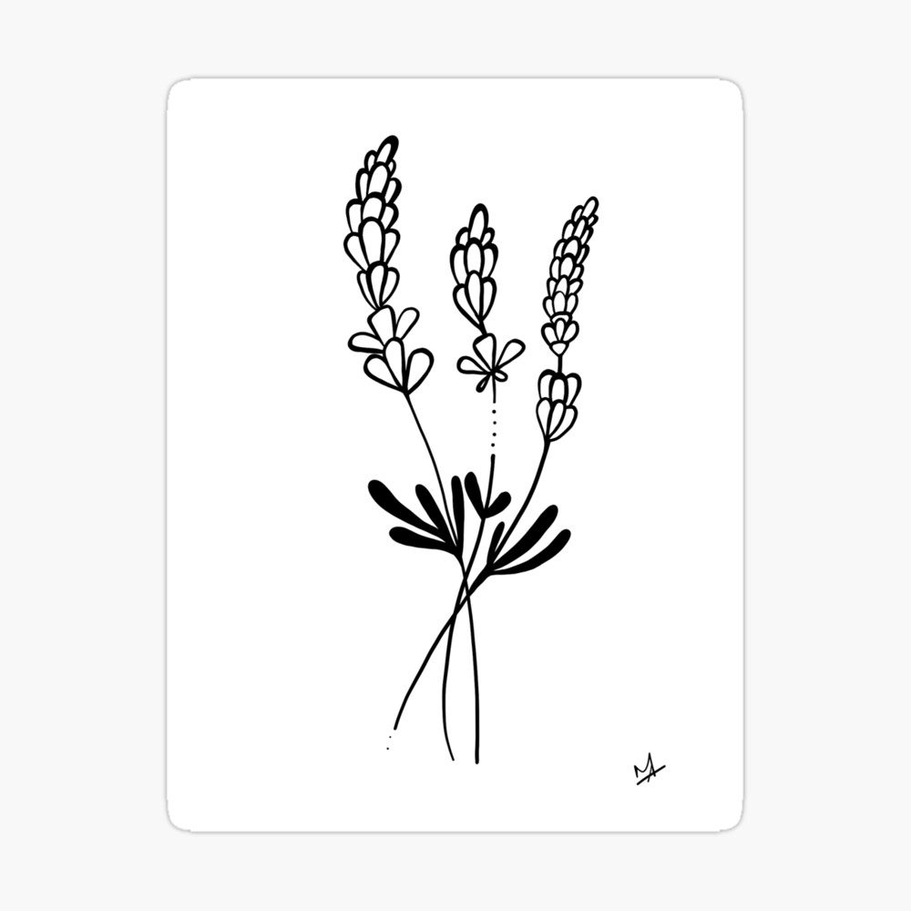 How to draw lavender flowers - YouTube
