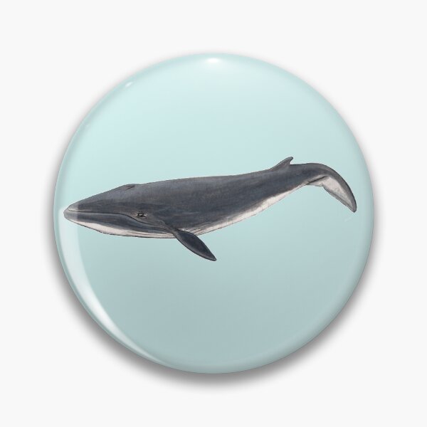 Item preview, Baby Sei whale designed and sold by chloeyzoard.
