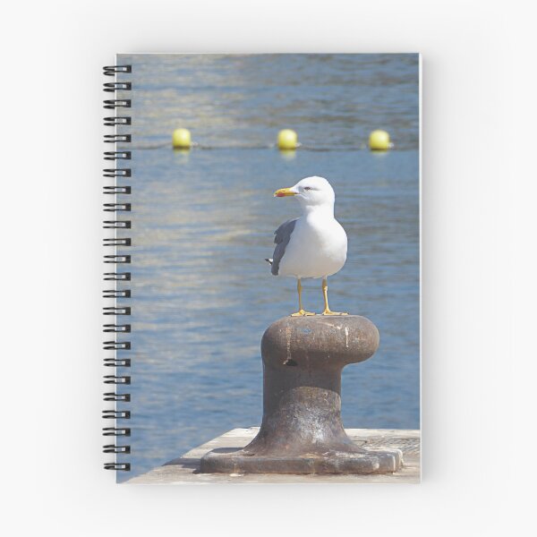 Item preview, Gull and Buoys designed and sold by Paul Pasco.