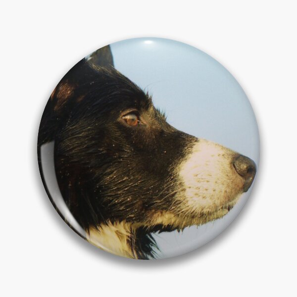 Item preview, A King among Dogs. designed and sold by Michael Haslam.