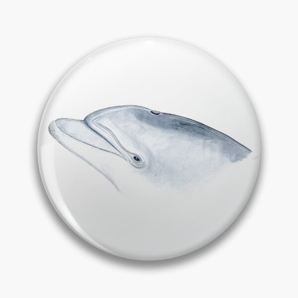 Item preview, Bottlenose dolphin designed and sold by chloeyzoard.