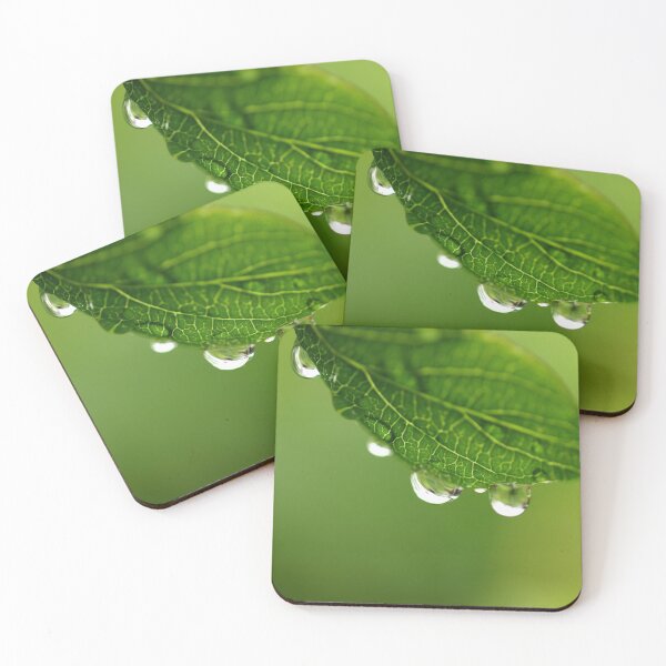 Item preview, Rain drops on the leaf designed and sold by santoshputhran.