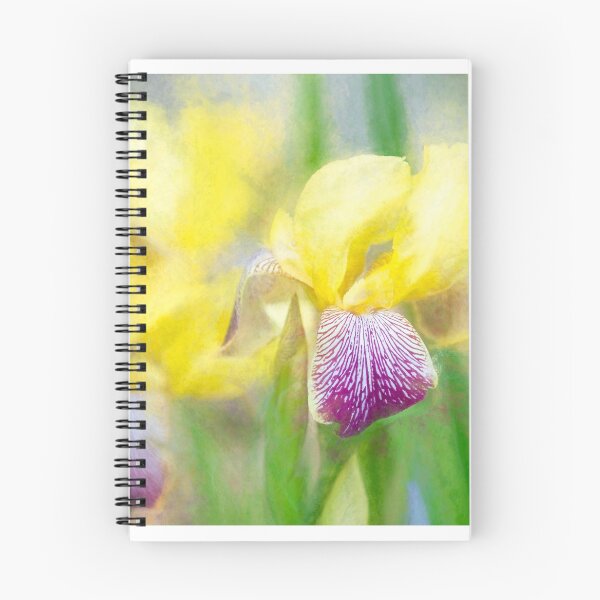 Item preview, Yellow Irises designed and sold by Sylvia Labelle.