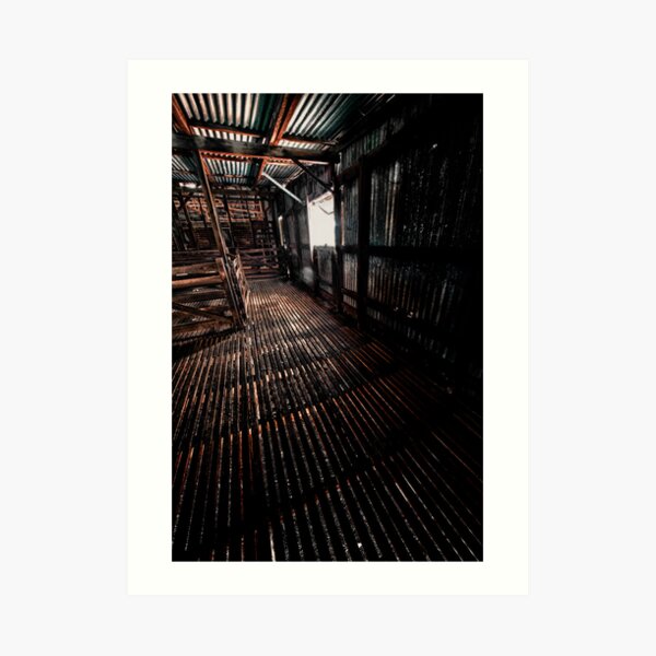 Shearing shed Art Print