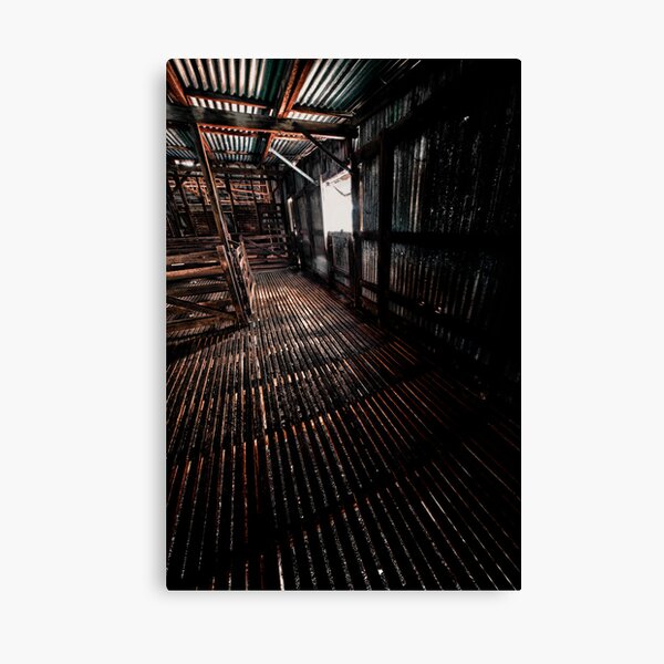 Shearing shed Canvas Print