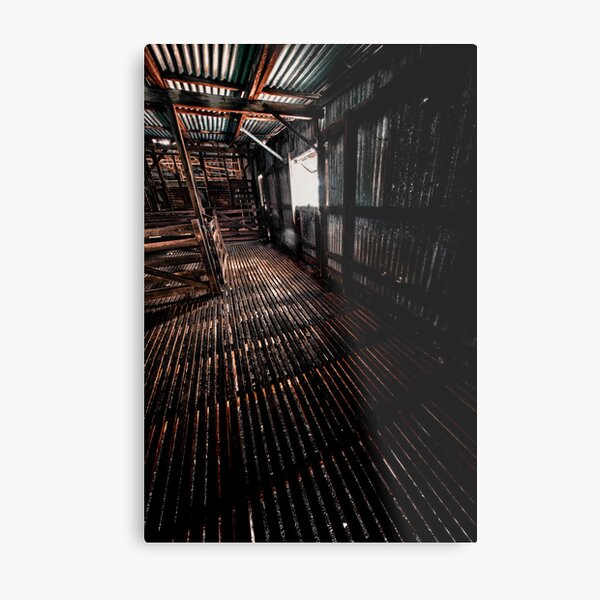 Shearing shed Metal Print