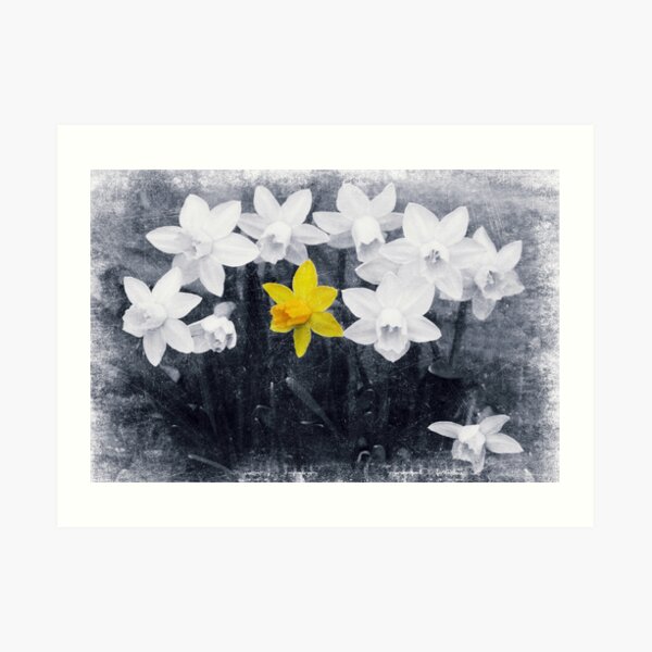 Family Portrait and the Non Conformist Art Print