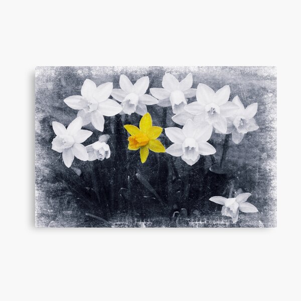 Family Portrait and the Non Conformist Canvas Print